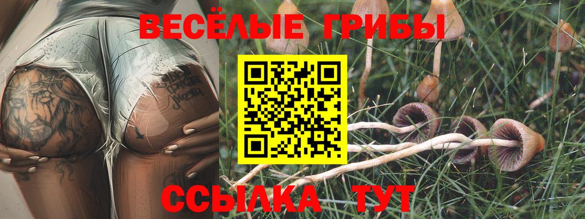 Галлюциногенные грибы мухоморы Мурманск