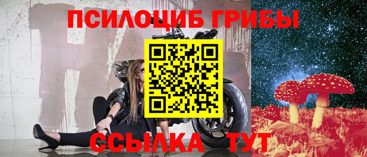 Мурманск  Галлюциногенные грибы MAGIC MUSHROOMS  Вход с VPN 